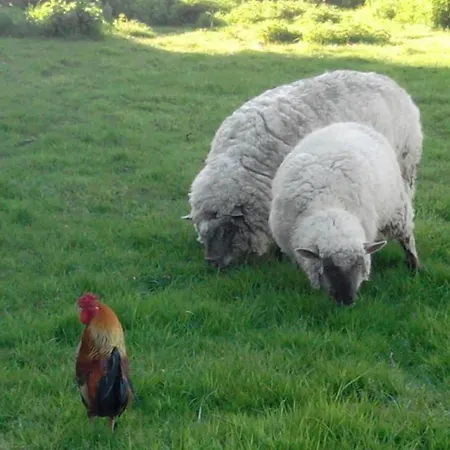 Bed & Breakfast Logis De Riparfonds 3*